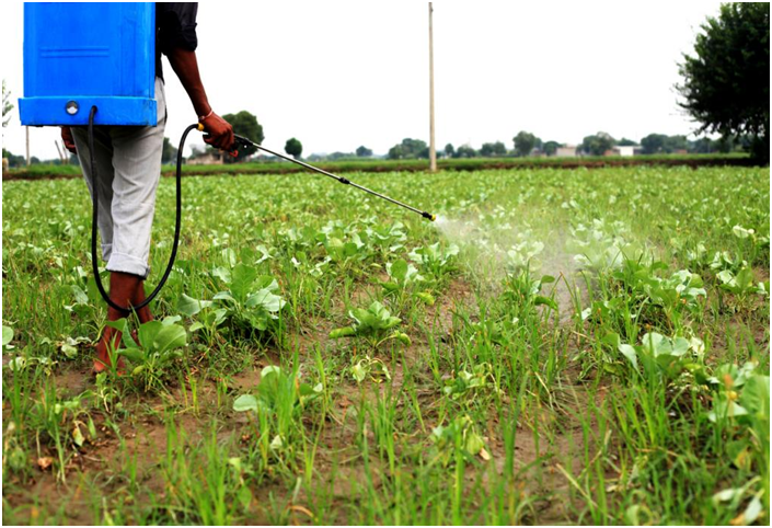 Rotterdam Convention: International trade of 2 hazardous pesticides recommended for &lsquo;prior informed consent&rsquo;
