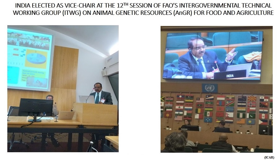 India elected as Vice-Chair at the 12th session of FAO&rsquo;s Intergovernmental Technical Working Group (ITWG) on Animal Genetic Resources (AnGR) for Food and Agriculture (GS Paper 2, International Organisation)
