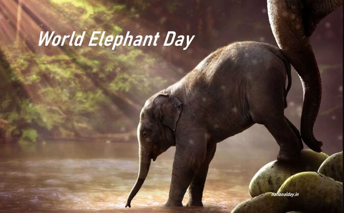 World Elephant Day &ndash; 2022 (GS Paper 3, Environment)