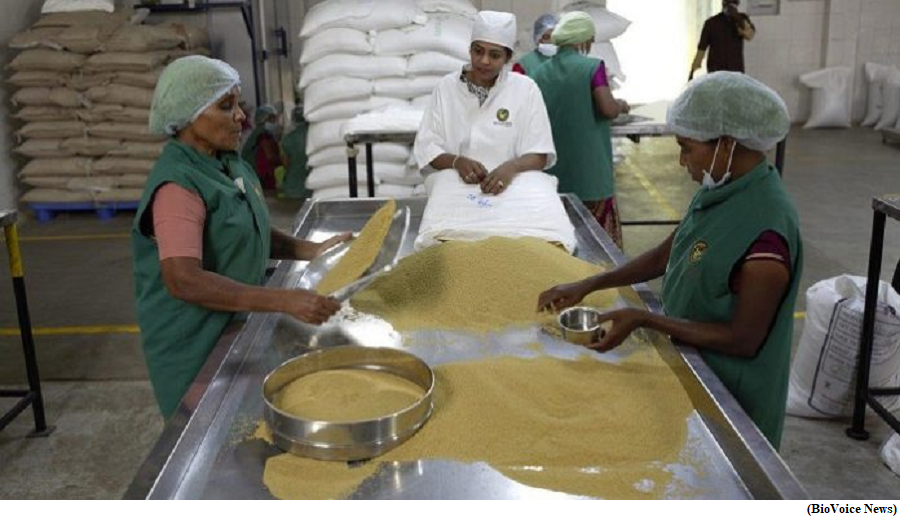 Codex Alimentarius Commission Praises India&rsquo;s Standards on Millets (GS Paper 3, Economy)