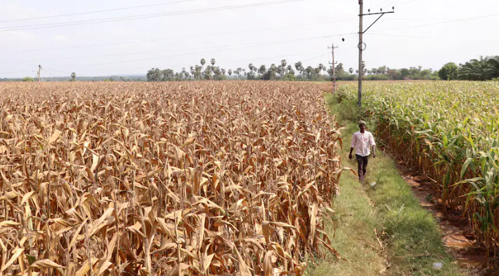 India&rsquo;s $48 Billion Input Subsidy for Power and Agriculture: Balancing Act or Trade Distortion? (GS Paper 3, Economy)